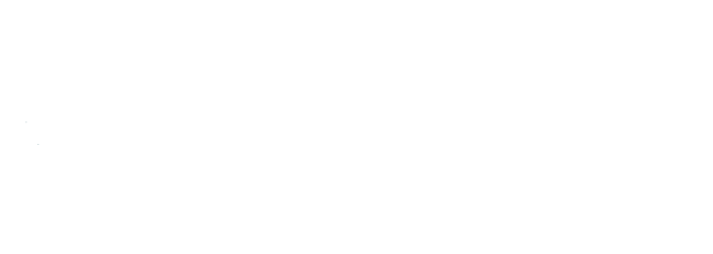 Lincoln Wealth Management